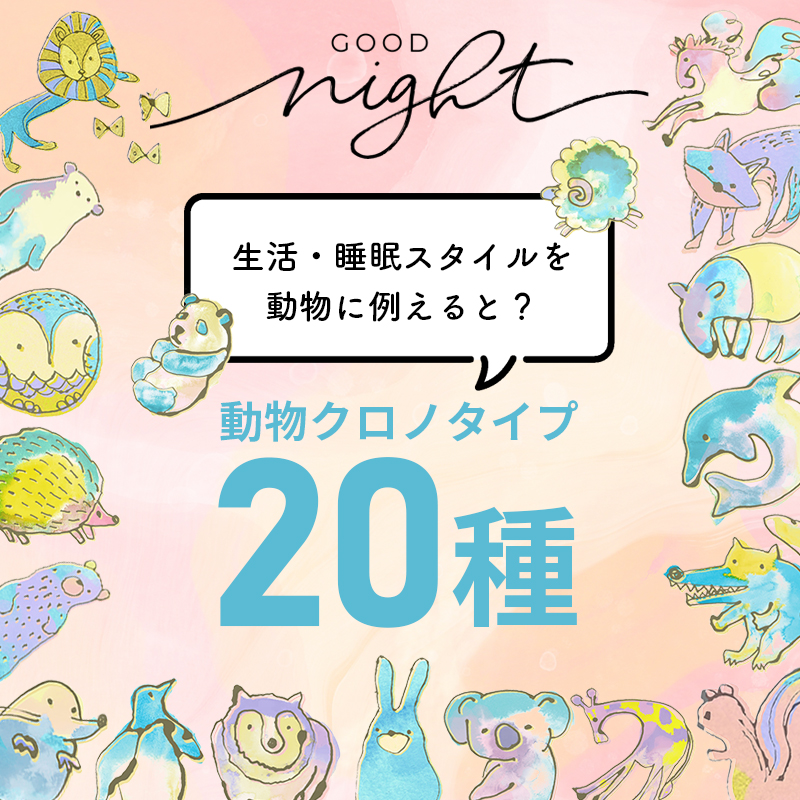 睡眠クロノタイプ とは